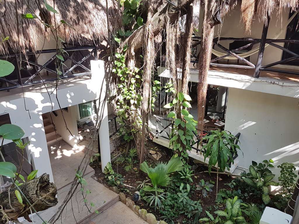 Hotel Club Yebo Playa del Carmen Facilități foto