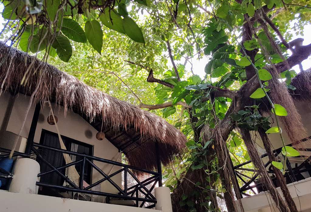 Hotel Club Yebo Playa del Carmen Exterior foto